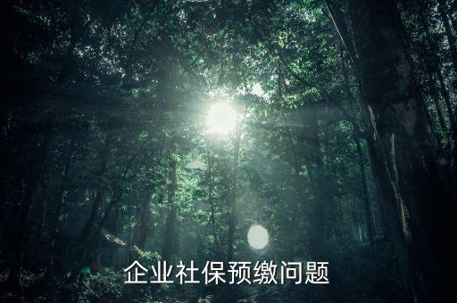 勞務(wù)預(yù)繳需要什么資料，異地提供建筑業(yè)勞務(wù)8月1日預(yù)繳了增值稅預(yù)繳城建稅教育費附加