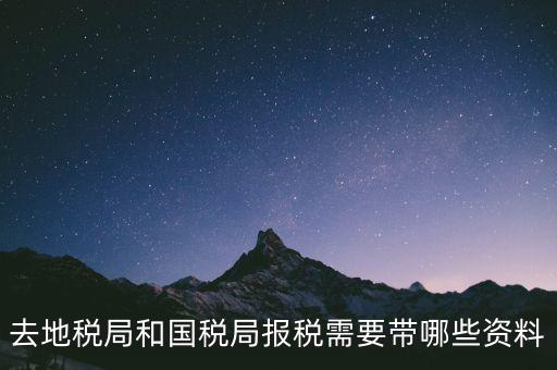 到國稅報(bào)稅需要什么，去地稅局和國稅局報(bào)稅需要帶哪些資料