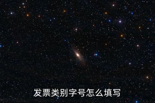 餐飲發(fā)票是什么字體，發(fā)票類(lèi)別字號(hào)怎么填寫(xiě)