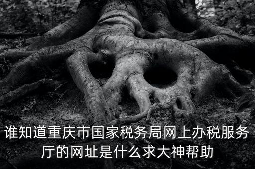 重慶稅務(wù)網(wǎng)站是什么，那個小型企業(yè)網(wǎng)上申報(bào)稅務(wù)的網(wǎng)站是多少啊發(fā)了一張流程表上