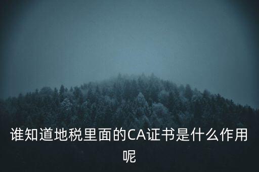 地稅的ca證書(shū)是什么，什么是聯(lián)通ca證書(shū)地稅ca證書(shū)