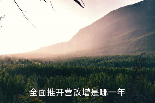 17年?duì)I改增改了什么時(shí)候，全面推開營(yíng)改增是哪一年