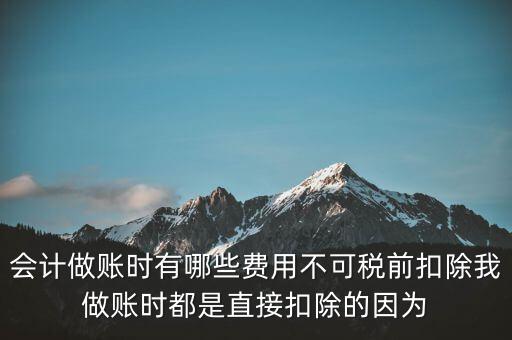 什么不可以稅前扣除嗎，納稅人哪些支出不能在企業(yè)所得稅前扣除