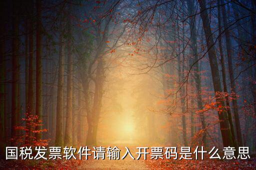 開票二維碼是什么軟件，天津國(guó)稅通用機(jī)打發(fā)票二維碼包含的內(nèi)容解碼軟件
