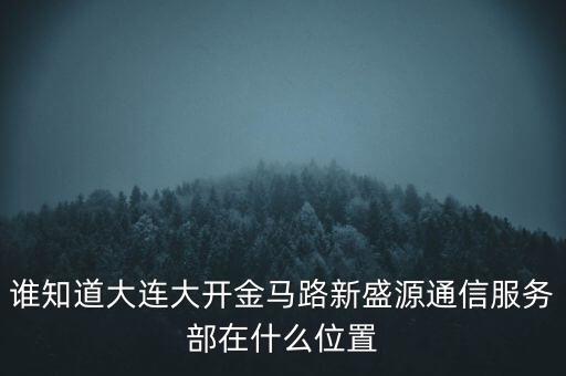 信息服務(wù)部可以叫什么地方，誰知道大連大開金馬路新盛源通信服務(wù)部在什么位置
