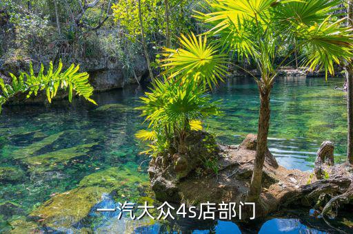 宋蘭去什么部門了，國(guó)家稅務(wù)總局的副局長(zhǎng)宋蘭身體很豐滿