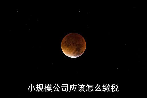 小規(guī)模公司按什么交稅嗎，一個小規(guī)模納稅公司國稅和地稅應(yīng)該都分別交什么稅