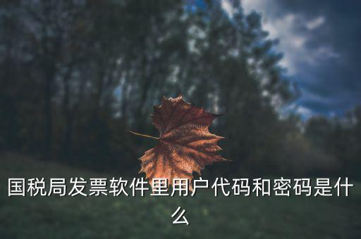 查詢發(fā)票要密碼是什么，國稅局發(fā)票軟件里用戶代碼和密碼是什么