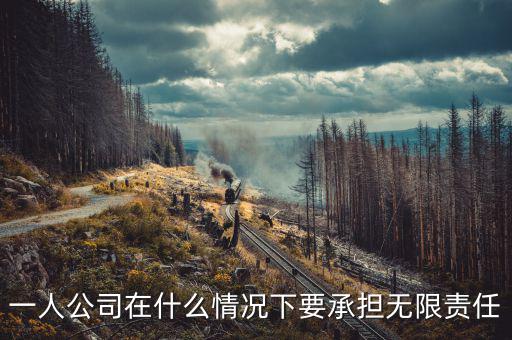什么人承擔(dān)無(wú)限納稅義務(wù)，什么人不用納稅