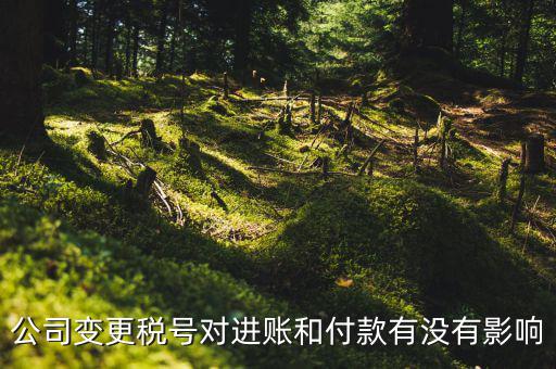 換稅號(hào)注意什么，公司變更稅號(hào)對(duì)進(jìn)賬和付款有沒(méi)有影響