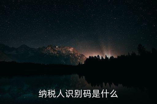 網(wǎng)上報稅納稅人識別碼是什么，納稅人識別碼是什么