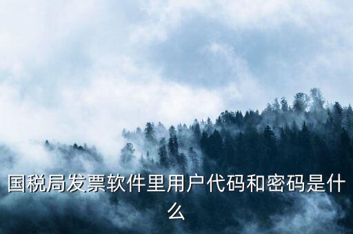 網(wǎng)上認證發(fā)票平臺密碼是什么樣的，國稅局發(fā)票軟件里用戶代碼和密碼是什么