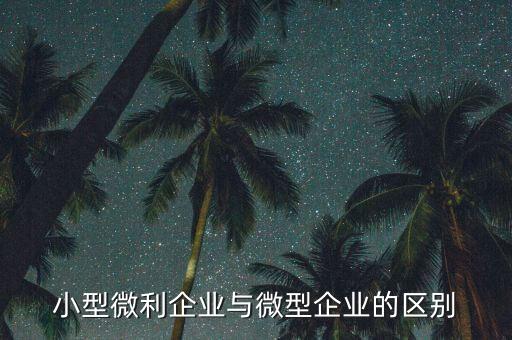 小型微利企業(yè)指的是什么，小型微利企業(yè)與微型企業(yè)的區(qū)別