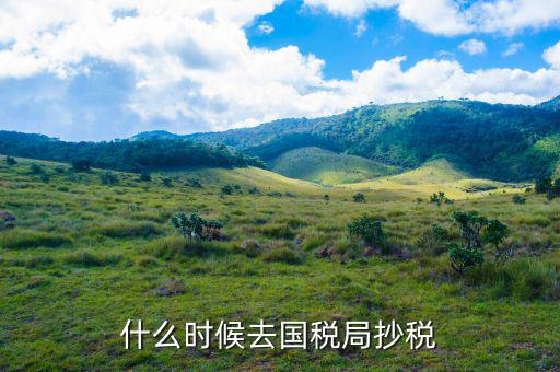 什么時(shí)候抄稅報(bào)稅，什么時(shí)候去國(guó)稅局抄稅