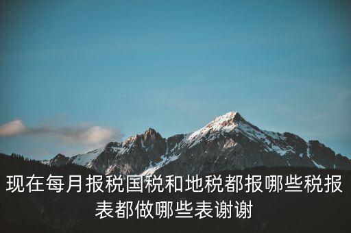 國稅報(bào)什么，現(xiàn)在每月報(bào)稅國稅和地稅都報(bào)哪些稅報(bào)表都做哪些表謝謝