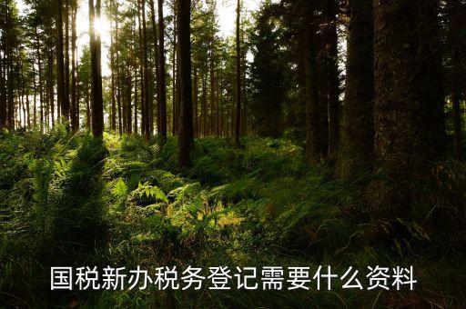 去國稅做稅務(wù)登記需要什么資料，辦理稅務(wù)登記要交哪些材料