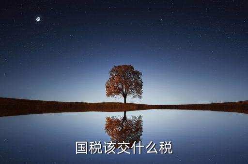在國稅要繳納什么稅，國稅都交什么稅