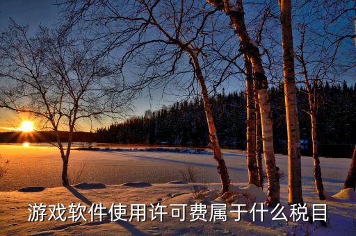 軟件使用費(fèi)交什么稅，軟件使用費(fèi)應(yīng)開國稅發(fā)票還是地稅發(fā)票