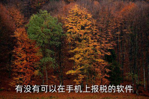 手機辦稅是什么，賣手機怎樣納稅