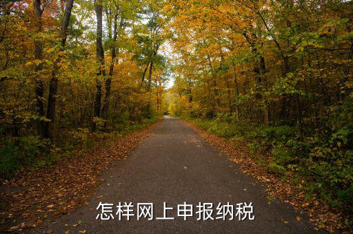 網(wǎng)上用什么申報(bào)稅務(wù)，怎樣網(wǎng)上申報(bào)納稅
