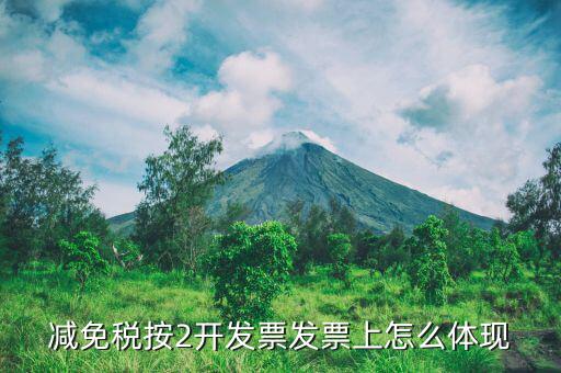 發(fā)票減免原因是什么意思，發(fā)票單上已免是什么意思