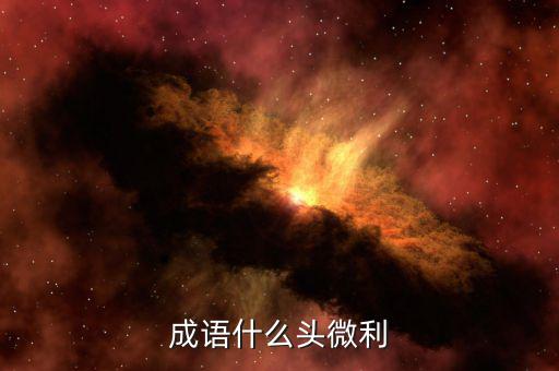 什么是微利，微保是什么怎么進入微保誰知道