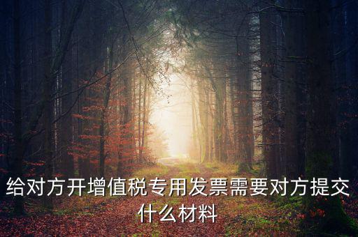 開(kāi)專票要什么資料，加油卡開(kāi)增值稅專用發(fā)票需要什么資料