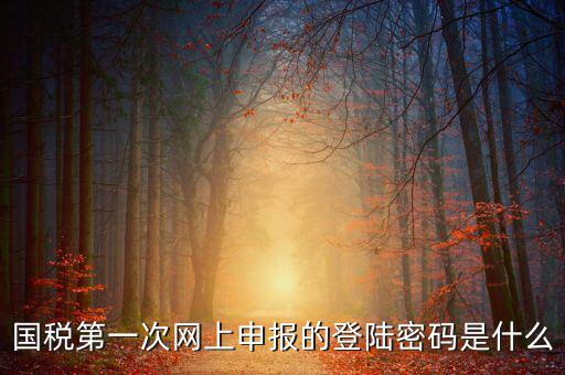 網(wǎng)上稅稅通密碼是什么，國稅第一次網(wǎng)上申報的登陸密碼是什么