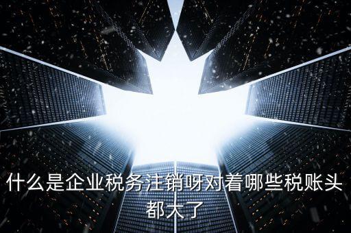 什么是錯峰預(yù)約辦稅，網(wǎng)上辦稅系統(tǒng)納稅人未開通使用此介入軟件是什么意思
