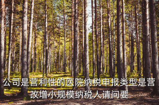 公司是營(yíng)利性的醫(yī)院納稅申報(bào)類型是營(yíng)改增小規(guī)模納稅人請(qǐng)問要