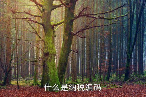 什么是納稅登記編碼，什么是納稅編碼