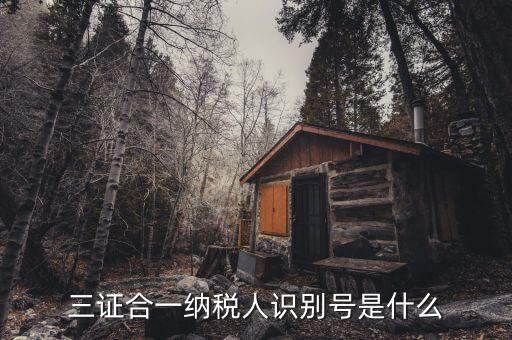 稅號(hào)識(shí)別號(hào)是什么意思，納稅人編碼 納稅人識(shí)別號(hào)有什么區(qū)別