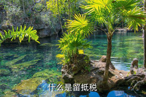 什么是留底進(jìn)項(xiàng)稅額，固定資產(chǎn)進(jìn)項(xiàng)留底稅款是什么意思呀