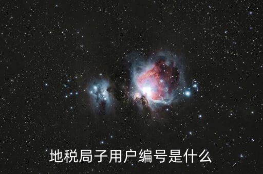 河北地稅的登錄賬號(hào)是什么，地稅局網(wǎng)上申報(bào) 用戶名用戶名是什么啊