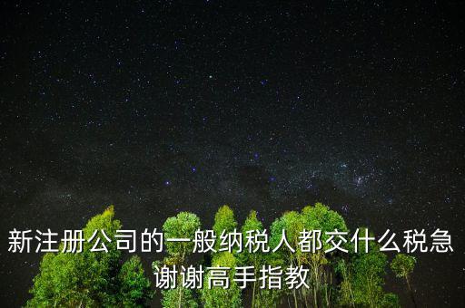 新注冊公司是什么納稅人，新辦企業(yè)是一般納稅人還是小規(guī)模納稅人