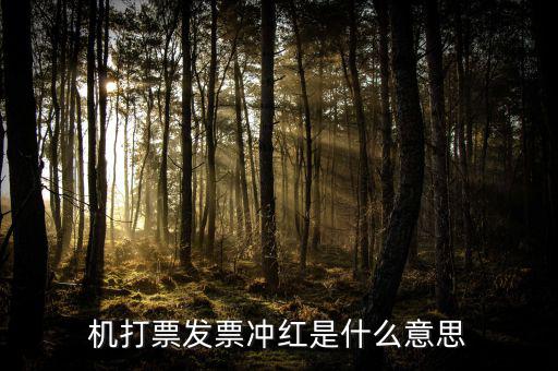 沖紅發(fā)票什么意思，單據(jù)沖紅是什么意思