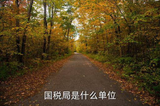 省國稅局直屬什么機(jī)構(gòu)，國稅局是什么單位
