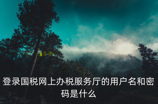 電子稅務局登錄密碼是什么，國稅第一次網(wǎng)上申報的登陸密碼是什么