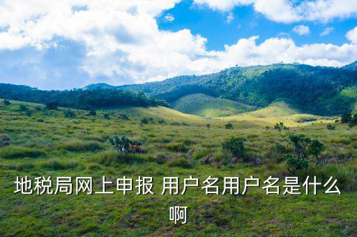 地稅網(wǎng)重置賬號(hào)和密碼是什么，地稅網(wǎng)上申報(bào)初始密碼是多少