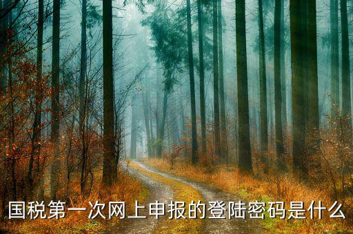 廣州國(guó)稅官網(wǎng)登錄密碼是什么，稅務(wù)局網(wǎng)站的登入賬戶初始密碼是什么