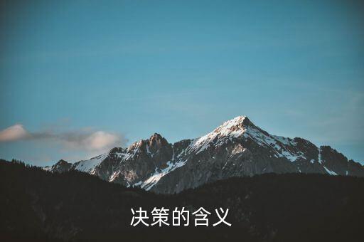 決策一包什么意思，決策的含義