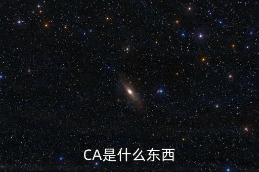 ca中心是什么，CA是什么東西