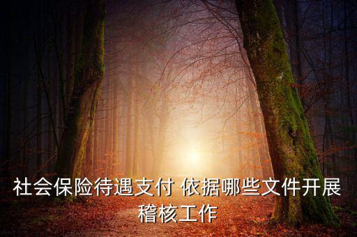 聯(lián)合稽查工作應(yīng)遵循什么，稅務(wù)稽查工作底稿必須包括哪些內(nèi)容
