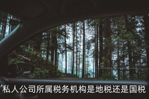 個(gè)人開(kāi)企業(yè)交什么地稅局，私人公司所屬稅務(wù)機(jī)構(gòu)是地稅還是國(guó)稅