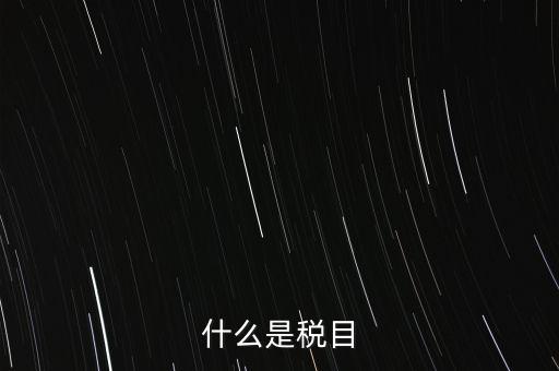 什么是稅法 文化，中華人民共和國地稅法