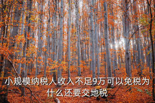 為什么納地稅，為什么要規(guī)定納稅地點(diǎn)