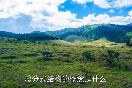 總分機(jī)構(gòu)標(biāo)志是什么意思，總分機(jī)構(gòu)納稅人是什么意思