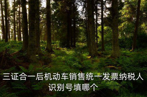 統(tǒng)一納稅識別號是什么，三證合一后機動車銷售統(tǒng)一發(fā)票納稅人識別號填哪個