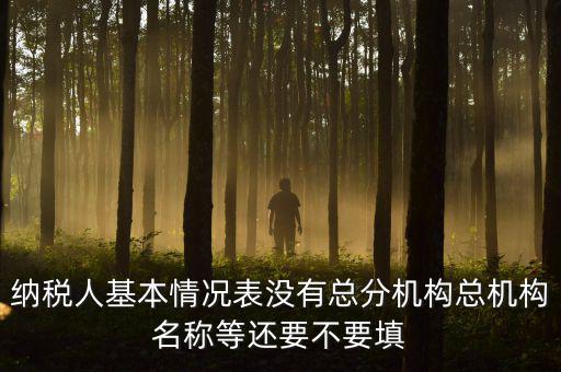 納稅人基本情況表沒(méi)有總分機(jī)構(gòu)總機(jī)構(gòu)名稱(chēng)等還要不要填