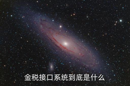 金稅售后是做什么的，鞍山金稅科技有限公司是干什么工作